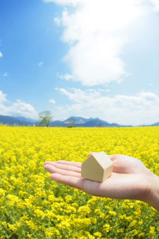 东方人,一个人,捧,竖图,室外,白天,正面,旅游,度假,花海,花圃,美景,植物,叶子,亚洲,仅一个年轻女性,仅一个女性,仅一个人,许多,盛开,木制,屋子,景观,花蕾,黄种人,娱乐,花,花瓣,花朵,花卉,鲜花,黄色,蓝色,绿色,蓝天,天空,自然,模型,木制品,花丛,花束,花田,天,花苞,花蕊,油菜花,享受,休闲,景色,放松,晴朗,自然风光,万里无云,年轻女性,女人,女性,亚洲人,晴空,晴空万里,端,端着,捧着,手捧,半身,彩图,芸苔,芸薹