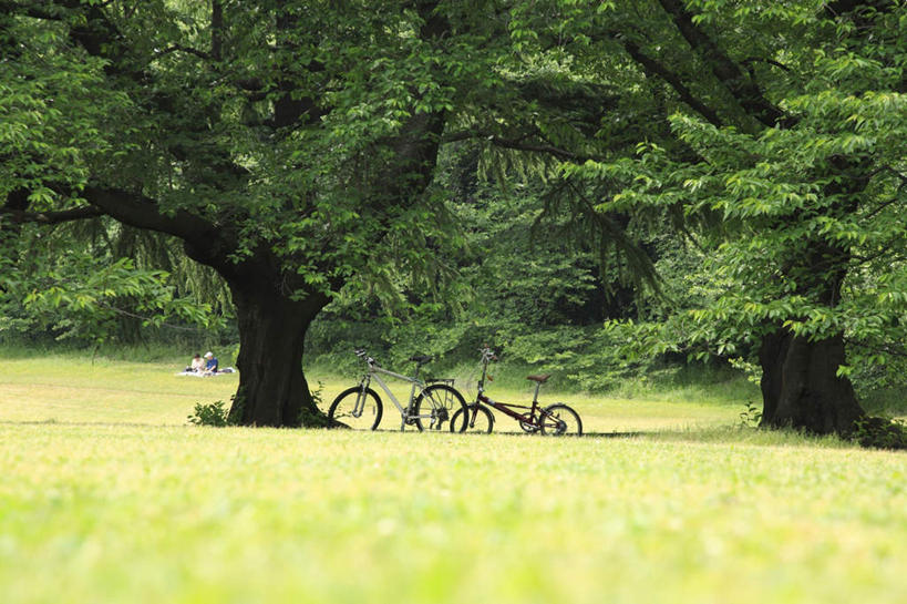 无人,横图,室外,白天,正面,旅游,度假,草地,草坪,美景,植物,自行车,东京,日本,亚洲,两辆,阴影,光线,影子,景观,野餐,娱乐,车,脚踏车,草,树,树木,绿色,阳光,自然,交通工具,享受,休闲,景色,放松,生长,成长,自然风光,载具,东亚,本州,关东地方,本州岛,日本国,东京都,彩图