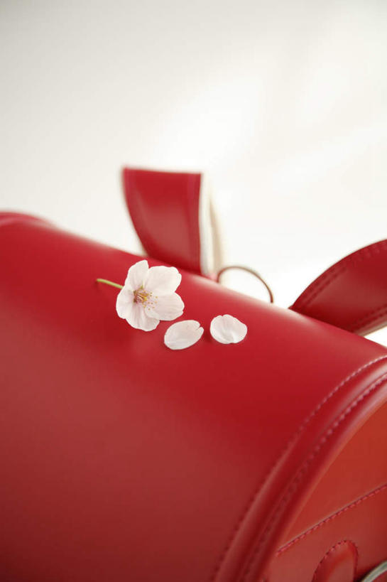 无人,竖图,俯视,室内,特写,白天,白色背景,樱花,盛开,包,书包,花蕾,花,花瓣,花朵,鲜花,一朵,红色,背包,花苞,花蕊,摄影,影棚,仙樱花,福岛樱,青肤樱,荆桃,彩图,高角度拍摄,影棚拍摄,拍摄,双肩包