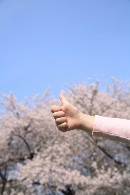 东方人,一个人,竖图,室外,白天,仰视,旅游,度假,智慧,美景,植物,樱花,东京,日本,亚洲,仅一个年轻女性,仅一个女性,仅一个人,许多,突出,盛开,景观,樱花树,花蕾,黄种人,娱乐,称赞,表扬,花,花瓣,花朵,鲜花,树,树木,粉色,蓝色,绿色,蓝天,天空,自然,天,花苞,花蕊,手势,享受,休闲,景色,放松,竖,生长,晴朗,成长,翘,高,夸奖,优秀,自然风光,东亚,本州,万里无云,好,妙,顺利,出色,超群,杰出,卓越,奇妙,关东地方,本州岛,日本国,东京都,仙樱花,福岛樱,青肤樱,聪明,年轻女性,女人,女性,亚洲人,大拇指,晴空,晴空万里,荆桃,半身,彩图,低角度拍摄