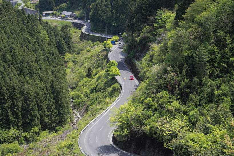 无人,横图,俯视,航拍,室外,白天,旅游,度假,草地,草坪,美景,树林,植物,道路,路,公路,日本,亚洲,阴影,光线,影子,景观,交通,娱乐,草,树,树木,绿色,阳光,自然,享受,休闲,景色,放松,生长,成长,鸟瞰,自然风光,东亚,德岛县,日本国,四国地方,四国,四国岛,徳岛,马路,彩图,高角度拍摄