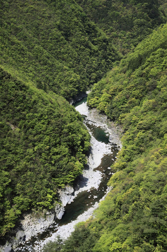 无人,竖图,俯视,航拍,室外,白天,旅游,度假,草地,草坪,河流,美景,山,山脉,树林,水,植物,日本,亚洲,河水,景观,山峰,水流,山峦,娱乐,草,树,树木,绿色,自然,群山,享受,休闲,景色,放松,生长,成长,鸟瞰,自然风光,东亚,德岛县,日本国,四国地方,四国,四国岛,徳岛,祖谷,彩图,高角度拍摄