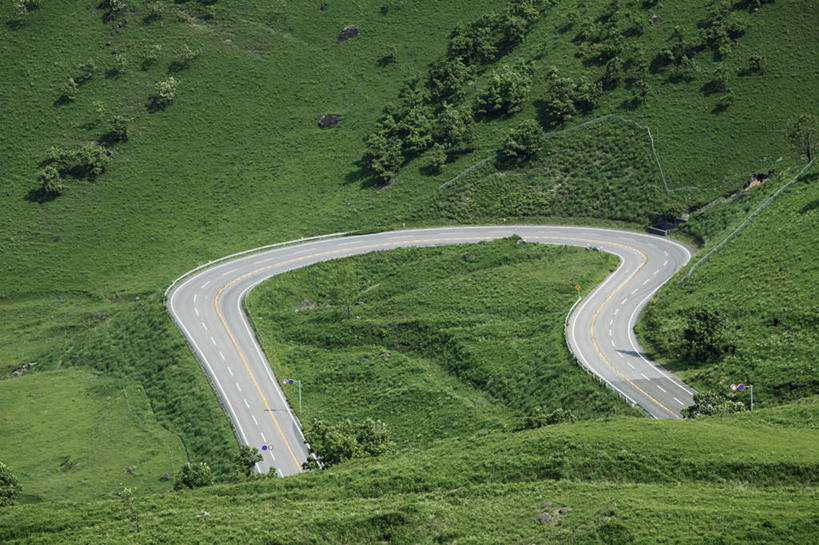 无人,横图,俯视,航拍,室外,白天,旅游,度假,草地,草坪,美景,树林,植物,道路,路,公路,大分县,日本,亚洲,弯曲,景观,交通,娱乐,草,树,树木,绿色,自然,享受,休闲,景色,放松,蜿蜒,生长,成长,鸟瞰,自然风光,东亚,日本国,九州本岛,九州,九州岛,九州地方,大分,马路,彩图,高角度拍摄