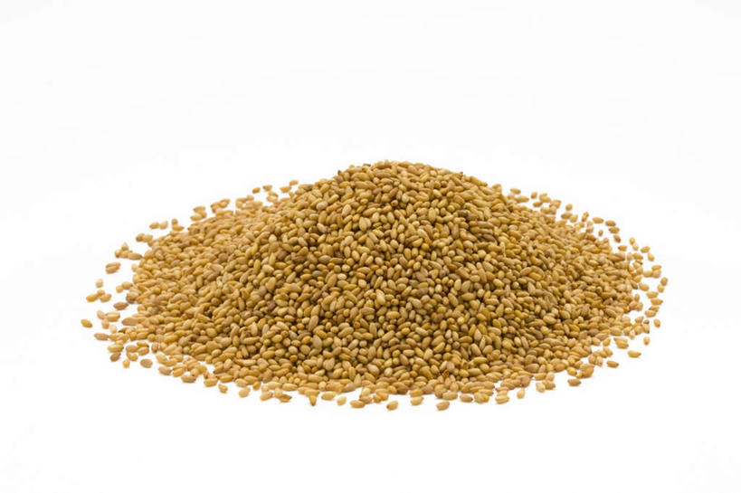 无人,横图,俯视,室内,特写,白天,白色背景,一堆,许多,堆叠,堆积,芝麻,摄影,影棚,堆,脂麻,胡麻,白麻,巨胜子,油麻,彩图,高角度拍摄,影棚拍摄,拍摄