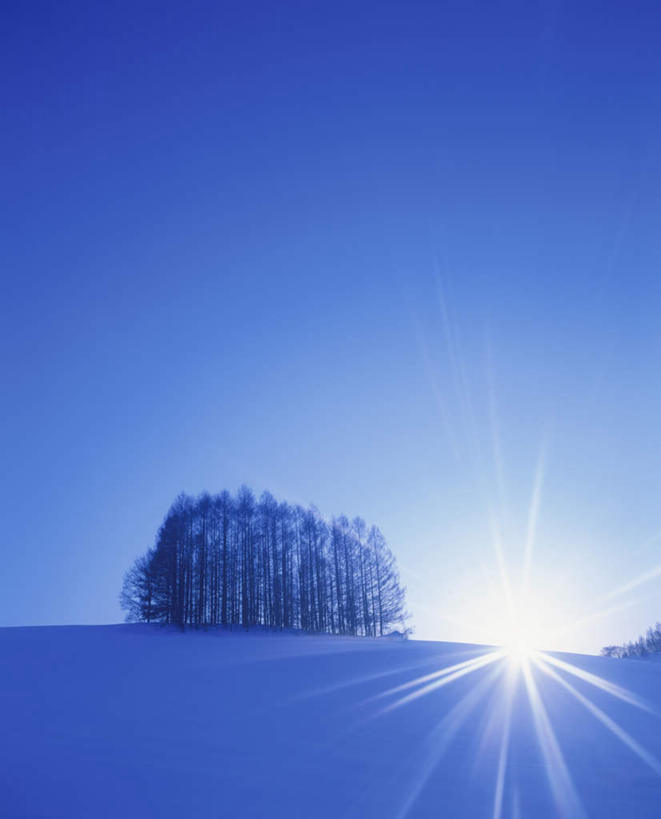 无人,竖图,全景,室外,白天,正面,旅游,度假,日出,美景,树林,太阳,天际线,雪,植物,大雪,北海道,日本,亚洲,阴影,朦胧,模糊,光线,影子,地平线,积雪,景观,雪景,冬季,冬天,辽阔,地面,朝霞,晨曦,黎明,娱乐,树,树木,蓝色,绿色,蓝天,天空,阳光,自然,天,享受,休闲,景色,放松,寒冷,生长,晴朗,成长,一望无际,自然风光,延伸,东亚,万里无云,日本国,天地相交,北海道地方,北海道岛,严寒,朝阳,晴空,晴空万里,彩图,破晓