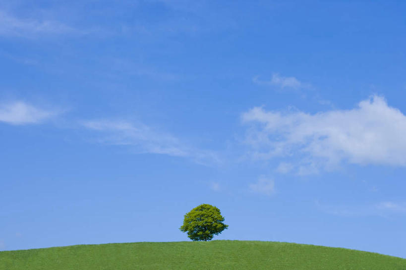 无人,横图,全景,室外,白天,正面,旅游,度假,草地,草坪,美景,天际线,植物,北海道,日本,亚洲,一棵,朦胧,模糊,地平线,景观,云,云朵,辽阔,枝条,地面,云彩,娱乐,草,树,树干,树木,树枝,蓝色,绿色,白云,蓝天,天空,自然,天,享受,休闲,景色,放松,生长,晴朗,成长,一望无际,自然风光,延伸,东亚,日本国,天地相交,北海道地方,北海道岛,川上郡,钏路支厅,晴空,彩图,道东