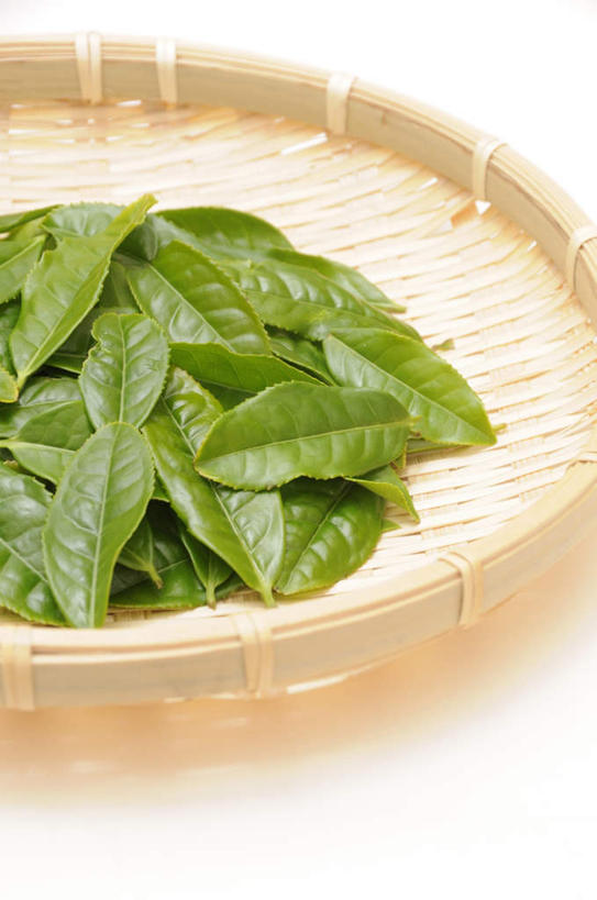 无人,竖图,俯视,室内,特写,白天,幸福,餐桌,茶,桌面,桌子,静物,餐具,叶子,一堆,许多,堆叠,堆积,朦胧,模糊,碟子,盘,茶叶,绿叶,娱乐,盘子,碟,享受,休闲,温馨,嫩叶,放松,乐趣,摄影,影棚,餐台,堆,提神,舒适,醒脑,叶,叶片,彩图,高角度拍摄,影棚拍摄,拍摄