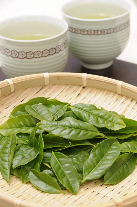 无人,竖图,俯视,室内,特写,白天,幸福,餐桌,茶,桌面,桌子,静物,杯子,餐具,叶子,一堆,许多,堆叠,堆积,朦胧,模糊,碟子,盘,茶叶,绿叶,两杯,娱乐,盘子,水杯,碟,享受,休闲,温馨,嫩叶,放松,乐趣,摄影,影棚,餐台,堆,提神,舒适,醒脑,叶,叶片,茶杯,彩图,高角度拍摄,影棚拍摄,拍摄