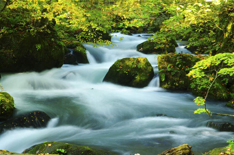 无人,横图,室外,白天,正面,旅游,河流,礁石,石头,美景,森林,树林,水,植物,日本,亚洲,朦胧,模糊,石子,河水,景观,水流,树,树木,绿色,小溪,自然,溪水,景色,生长,成长,自然风光,东亚,本州,本州岛,日本国,青森,青森县,东北地方,十和田市,十和田,礁,石块,岩石,彩图,游览