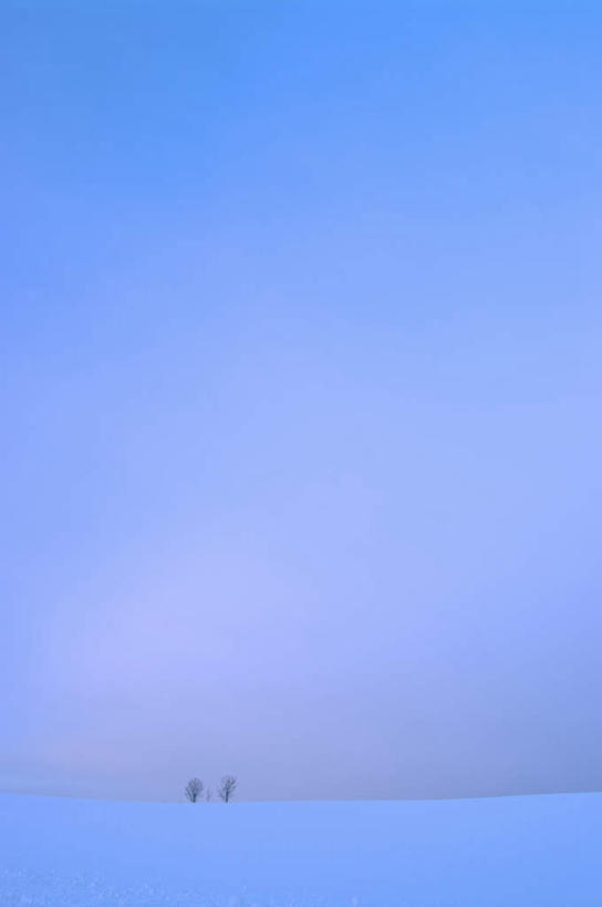 无人,竖图,室外,白天,正面,旅游,度假,美景,雪,植物,大雪,北海道,日本,亚洲,阴影,光线,影子,积雪,景观,雪景,云,云朵,冬季,冬天,云彩,娱乐,树,树木,蓝色,绿色,白云,蓝天,天空,阳光,自然,天,享受,休闲,景色,放松,寒冷,生长,成长,自然风光,东亚,日本国,北海道地方,北海道岛,严寒,彩图