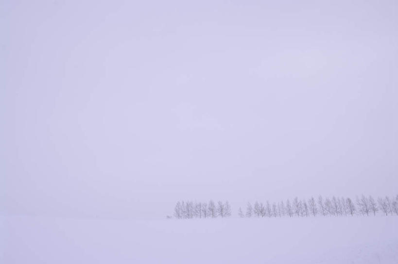 无人,横图,室外,白天,正面,旅游,度假,美景,雪,植物,大雪,北海道,日本,亚洲,阴影,光线,影子,积雪,景观,雪景,云,云朵,冬季,冬天,云彩,娱乐,树,树木,蓝色,绿色,白云,蓝天,天空,阳光,自然,天,享受,休闲,景色,放松,寒冷,生长,成长,自然风光,东亚,日本国,北海道地方,北海道岛,严寒,彩图