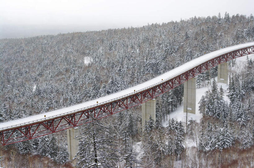 无人,横图,俯视,室外,白天,旅游,度假,草地,草坪,美景,森林,树林,雪,植物,大雪,大桥,立交桥,桥梁,阴影,光线,影子,积雪,景观,雪景,云,云朵,冬季,冬天,高架,斜拉桥,桥,云彩,娱乐,草,树,树木,蓝色,绿色,白云,蓝天,天空,阳光,自然,天,享受,休闲,景色,放松,寒冷,生长,成长,自然风光,严寒,彩图,高角度拍摄