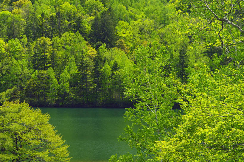 无人,横图,俯视,室外,白天,旅游,度假,草地,草坪,湖,湖泊,美景,森林,山,山脉,树林,水,植物,北海道,日本,亚洲,阴影,光线,影子,湖面,景观,山峰,水流,水面,山峦,娱乐,草,树,树木,绿色,阳光,自然,湖水,群山,享受,休闲,景色,放松,生长,成长,自然风光,东亚,日本国,北海道地方,北海道岛,彩图,高角度拍摄