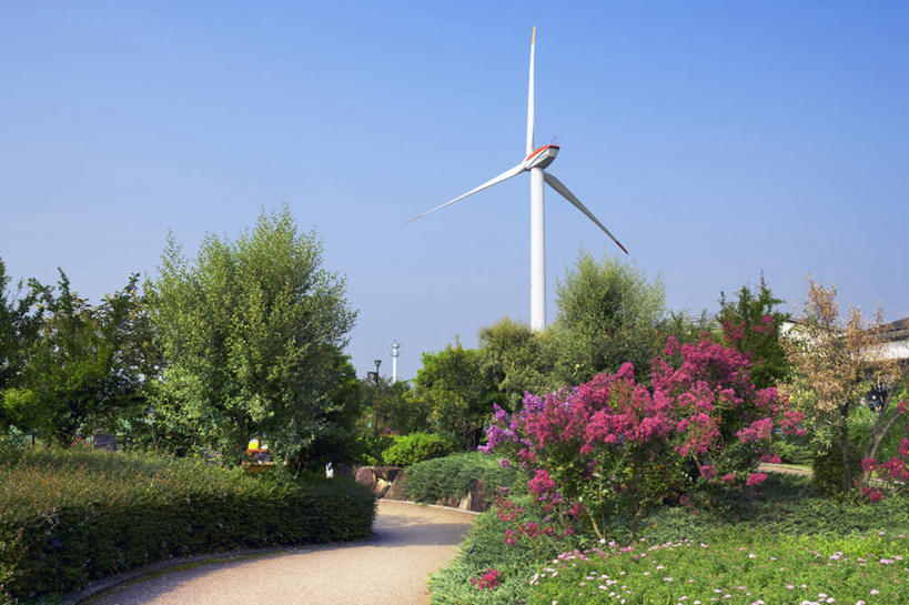 无人,横图,室外,白天,正面,旅游,度假,农业,风力发电机,草地,草坪,美景,植物,道路,路,风车,日本,亚洲,一座,阴影,环保,盛开,电力,光线,影子,景观,云,云朵,小路,交通,花蕾,云彩,娱乐,设备,草,花,花瓣,花朵,鲜花,树,树木,蓝色,绿色,紫色,白云,蓝天,天空,阳光,自然,天,花苞,花蕊,享受,休闲,发电,机械,景色,放松,工业,乡间小路,生长,能源,成长,资源,风力机,自然风光,利用,低碳,东亚,本州,本州岛,日本国,近畿地方,近畿,滋贺,滋贺县,风力发电,彩图