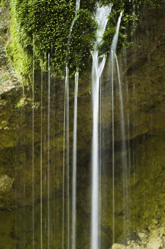 无人,竖图,室外,白天,正面,旅游,度假,草地,草坪,美景,瀑布,森林,山,山脉,树林,水,植物,长野县,日本,亚洲,阴影,飞溅,溅,光线,液体,影子,景观,山峰,水滴,山峦,娱乐,水珠,草,树,树木,绿色,阳光,自然,群山,享受,休闲,景色,放松,生长,成长,喷洒,自然风光,东亚,本州,本州岛,日本国,中部地方,长野,跌水,彩图