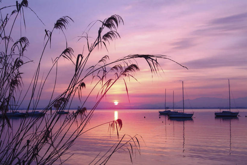 无人,横图,室外,白天,正面,旅游,度假,草地,草坪,日出,海浪,海洋,美景,太阳,植物,船,日本,亚洲,阴影,光线,影子,景观,浪花,云,云朵,木船,朝霞,晨曦,黎明,云彩,娱乐,草,绿色,白云,天空,阳光,自然,海水,交通工具,天,享受,休闲,景色,放松,舟,自然风光,载具,海景,东亚,本州,本州岛,日本国,近畿地方,近畿,滋贺,滋贺县,琵琶湖,大海,风浪,海,海水的波动,近岸浪,涌浪,朝阳,彩图,破晓