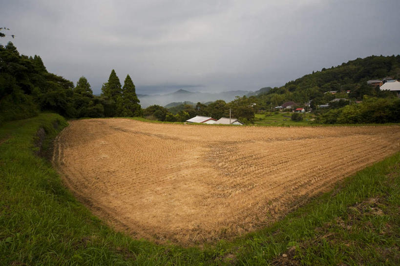 无人,家,农田,横图,室外,白天,正面,旅游,度假,庄稼,农作物,草地,草坪,美景,植物,日本,亚洲,阴影,光线,影子,房屋,屋子,景观,云,云朵,千叶县,云彩,娱乐,楼房,住宅,草,树,树木,蓝色,绿色,白云,蓝天,天空,阳光,自然,天,享受,休闲,景色,放松,生长,成长,自然风光,东亚,本州,关东地方,本州岛,日本国,千叶,彩图,耕地,庄稼田,房子