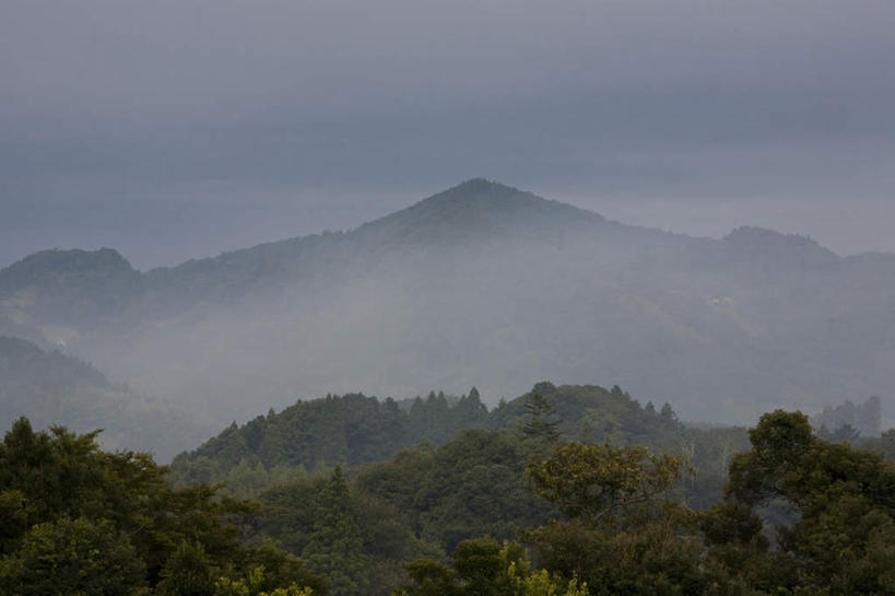 无人,横图,俯视,航拍,室外,白天,旅游,度假,草地,草坪,美景,森林,山,山脉,树林,植物,日本,亚洲,阴影,光线,鱼,影子,景观,山峰,云,云朵,山峦,千叶县,云彩,娱乐,鱼类,草,树,树木,蓝色,绿色,白云,蓝天,天空,阳光,自然,群山,天,享受,休闲,景色,放松,生长,成长,鸟瞰,自然风光,东亚,本州,关东地方,本州岛,日本国,千叶,彩图,高角度拍摄