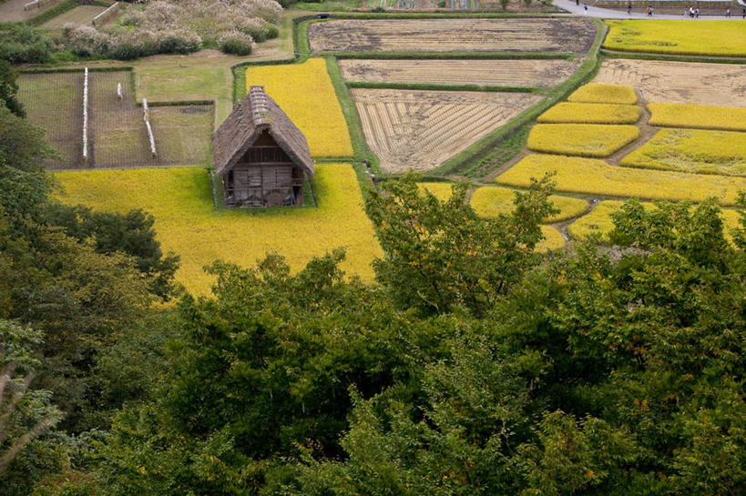 无人,家,农田,横图,俯视,室外,白天,旅游,度假,农业,庄稼,农作物,草地,草坪,美景,森林,山,山脉,树林,植物,日本,亚洲,房屋,屋子,草屋,稻田,景观,山峰,山峦,娱乐,住宅,草,树,树木,绿色,自然,茅草屋,群山,享受,休闲,景色,放松,生长,成长,自然风光,东亚,本州,本州岛,日本国,中部地方,岐阜,岐阜县,彩图,高角度拍摄,耕地,庄稼田,房子,茅舍,茅屋,小屋