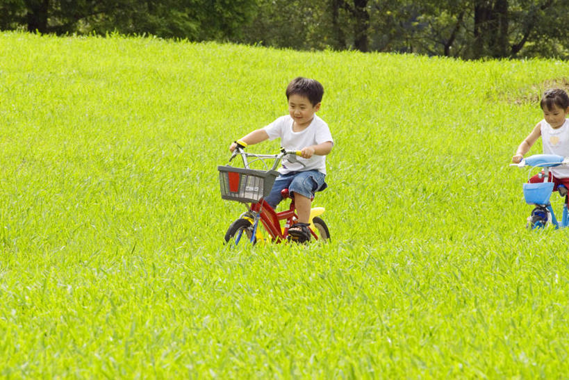 东方人,儿童,两个人,坐,横图,室外,白天,正面,纯洁,草地,草坪,植物,自行车,亚洲,注视,黄种人,车,脚踏车,草,树,树木,小孩,骑,绿色,自然,交通工具,观察,看,可爱,童年,童趣,搭,生长,成长,观看,察看,搭着,关注,载具,童真,烂漫,无邪,天真,男孩,男人,男性,女孩,女人,女性,亚洲人,坐着,彩图,全身,男生,女生