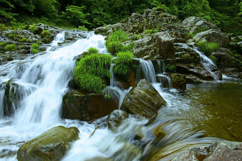 无人,横图,俯视,室外,白天,旅游,度假,河流,石头,美景,瀑布,山,山脉,水,植物,日本,亚洲,飞溅,溅,石子,液体,河水,景观,山峰,水滴,水流,山峦,娱乐,水珠,树,树木,绿色,小溪,自然,群山,溪水,享受,休闲,景色,放松,生长,成长,喷洒,自然风光,东亚,本州,本州岛,日本国,中部地方,岐阜,岐阜县,跌水,石块,岩石,彩图,高角度拍摄