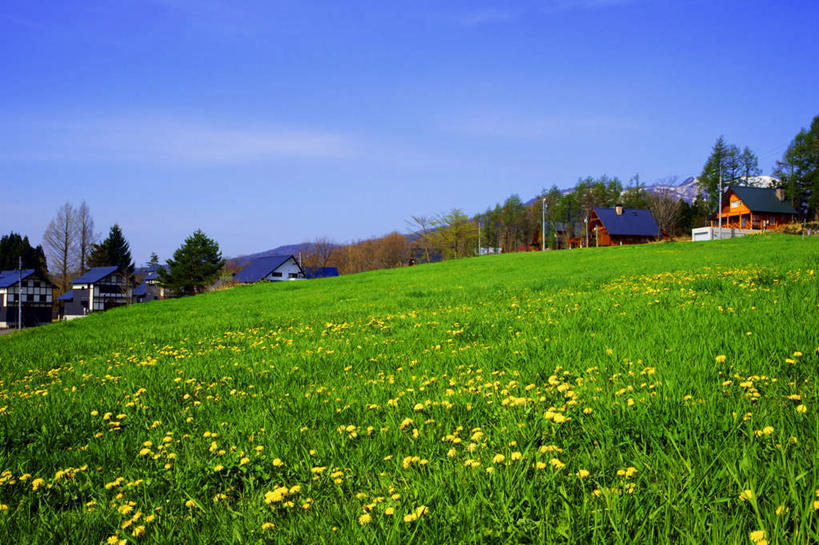 无人,家,横图,室外,白天,正面,旅游,度假,花海,花圃,美景,山,山脉,雪,植物,大雪,叶子,日本,亚洲,许多,盛开,房屋,屋子,积雪,景观,山峰,雪景,冬季,冬天,绿叶,山峦,花蕾,娱乐,楼房,住宅,花,花瓣,花朵,花卉,鲜花,黄色,蓝色,绿色,蓝天,天空,自然,花丛,花田,群山,天,花苞,花蕊,油菜花,享受,休闲,嫩叶,景色,放松,寒冷,生长,晴朗,成长,自然风光,东亚,本州,万里无云,本州岛,日本国,中部地方,岐阜,岐阜县,严寒,叶,叶片,晴空,晴空万里,彩图,房子,芸苔,芸薹