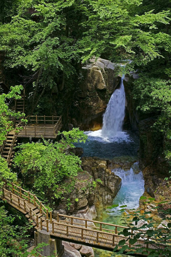 无人,竖图,俯视,室外,白天,旅游,度假,河流,美景,瀑布,山,山脉,水,植物,日本,亚洲,飞溅,溅,木板,液体,河水,景观,山峰,水滴,水流,桥,木桥,山峦,娱乐,栈桥,水珠,树,树木,绿色,小溪,自然,群山,溪水,享受,休闲,景色,放松,生长,成长,人行桥,木板桥,喷洒,自然风光,东亚,本州,本州岛,日本国,中部地方,岐阜,岐阜县,跌水,彩图,高角度拍摄