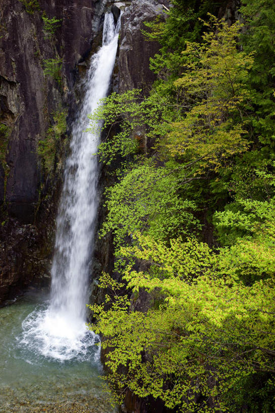 无人,竖图,室外,白天,正面,旅游,度假,河流,石头,美景,瀑布,山,山脉,水,植物,日本,亚洲,飞溅,溅,石子,液体,河水,景观,山峰,水滴,水流,山峦,娱乐,水珠,树,树木,绿色,小溪,自然,群山,溪水,享受,休闲,景色,放松,生长,成长,喷洒,自然风光,东亚,本州,本州岛,日本国,中部地方,岐阜,岐阜县,跌水,石块,岩石,彩图
