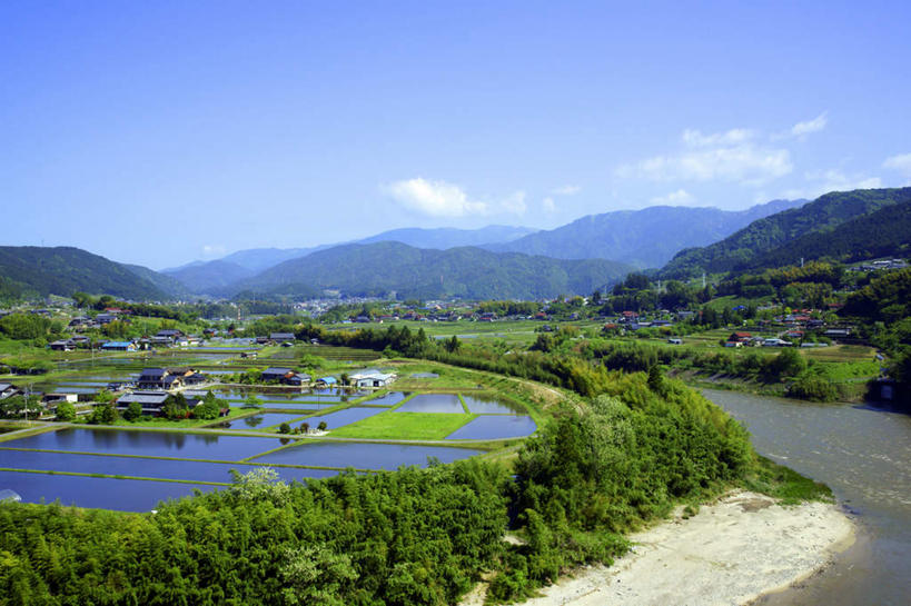 无人,家,农田,横图,室外,白天,正面,旅游,度假,农业,庄稼,农作物,河流,美景,山,山脉,水,植物,日本,亚洲,房屋,屋子,稻田,河水,景观,山峰,水流,山峦,娱乐,楼房,住宅,树,树木,蓝色,绿色,蓝天,天空,自然,群山,天,享受,休闲,景色,放松,生长,晴朗,成长,自然风光,东亚,本州,万里无云,本州岛,日本国,中部地方,岐阜,岐阜县,晴空,晴空万里,彩图,耕地,庄稼田,房子