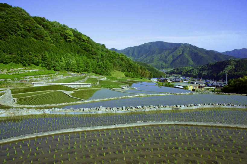 无人,家,农田,横图,室外,白天,正面,旅游,度假,农业,庄稼,农作物,美景,山,山脉,植物,日本,亚洲,房屋,屋子,稻田,景观,山峰,山峦,娱乐,楼房,住宅,树,树木,蓝色,绿色,蓝天,天空,自然,群山,天,享受,休闲,景色,放松,生长,晴朗,成长,自然风光,东亚,本州,万里无云,本州岛,日本国,中部地方,岐阜,岐阜县,晴空,晴空万里,彩图,耕地,庄稼田,房子