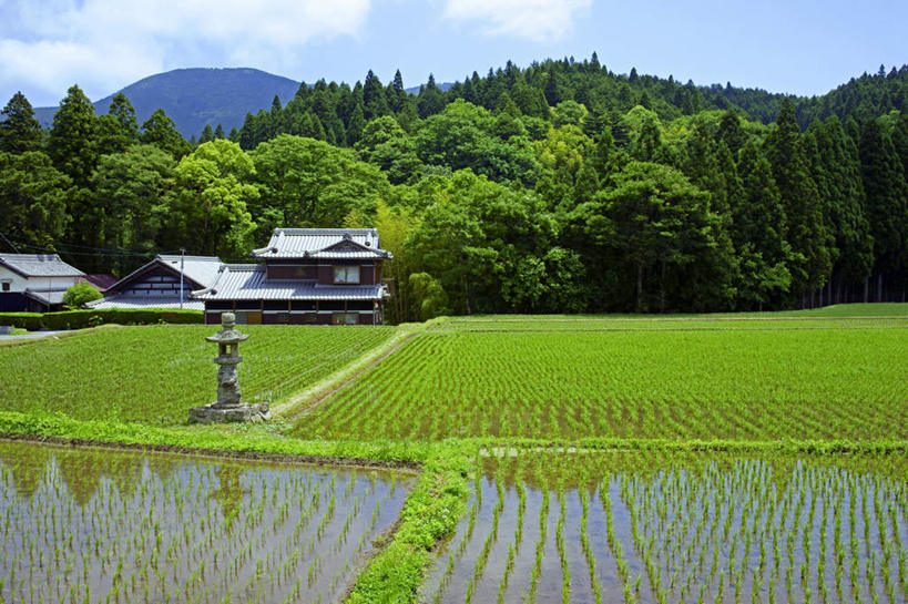 无人,家,农田,横图,室外,白天,正面,旅游,度假,农业,庄稼,农作物,美景,山,山脉,植物,路灯,照明,日本,亚洲,阴影,光线,影子,房屋,屋子,稻田,景观,山峰,灯光,山峦,娱乐,楼房,住宅,灯,树,树木,蓝色,绿色,蓝天,天空,阳光,自然,群山,天,享受,休闲,景色,放松,生长,晴朗,成长,照亮,照明设备,自然风光,东亚,本州,万里无云,本州岛,日本国,中部地方,岐阜,岐阜县,晴空,晴空万里,彩图,耕地,庄稼田,房子