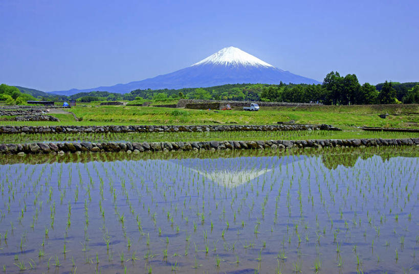 一个人,农民,家,农田,走,横图,室外,白天,仰视,旅游,度假,农业,庄稼,农作物,美景,山,山脉,雪,植物,大雪,卡车,汽车,日本,亚洲,仅一个男性,仅一个人,仅一个中年男性,一辆,阴影,光线,影子,房屋,屋子,稻田,积雪,景观,山峰,雪景,冬季,冬天,山峦,娱乐,楼房,住宅,车,树,树木,蓝色,绿色,蓝天,天空,阳光,自然,交通工具,群山,天,享受,休闲,景色,放松,寒冷,生长,晴朗,成长,自然风光,载具,东亚,本州,万里无云,本州岛,日本国,中部地方,岐阜,岐阜县,严寒,农人,男人,男性,中年男性,晴空,晴空万里,农夫,步行,散步,走路,彩图,低角度拍摄,全身,耕地,庄稼田,房子