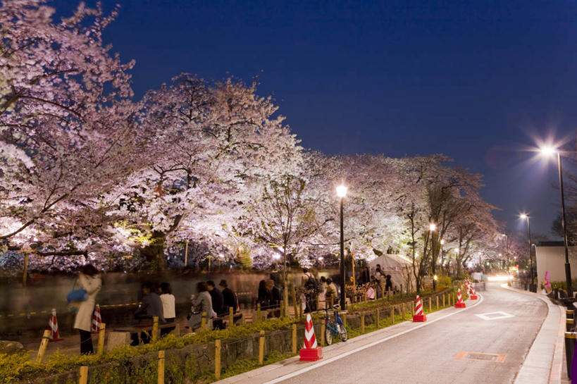 东方人,栏杆,站,走,横图,室外,夜晚,旅游,度假,幸福,纯洁,花海,花圃,美景,植物,道路,路,路灯,夜景,公路,樱花,叶子,照明,亚洲,朦胧,模糊,盛开,分离,景观,围栏,灯光,交通,许多人,警告,花蕾,注视,黄种人,娱乐,护栏,灯,花,花瓣,花朵,花卉,鲜花,树,树木,背面,粉色,绿色,自然,花丛,花束,花田,花苞,花蕊,观察,看,站着,一群人,享受,休闲,景色,放松,警示,生长,成长,观看,等待,隔离,禁止,照亮,提醒,察看,生命,照明设备,关注,提示,限制,自然风光,交通标志,路锥,交通锥,仙樱花,福岛樱,青肤樱,高尚,热烈,危险,男人,男性,年轻男性,年轻女性,女人,女性,亚洲人,马路,荆桃,步行,散步,站立,走路,彩图,全身