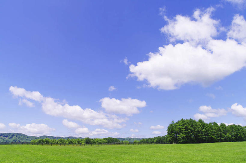 无人,农田,横图,室外,白天,正面,旅游,度假,庄稼,农作物,草地,草坪,美景,植物,北海道,日本,亚洲,阴影,光线,影子,地平线,景观,云,云朵,辽阔,地面,云彩,娱乐,草,树,树木,蓝色,绿色,白云,蓝天,天空,阳光,自然,天,享受,休闲,广阔,景色,放松,生长,晴朗,成长,一望无际,自然风光,延伸,东亚,日本国,天地相交,北海道地方,北海道岛,无边无际,一马平川,晴空,彩图,耕地,庄稼田