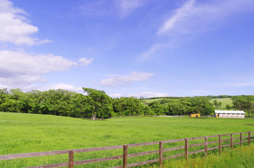 无人,家,农田,栏杆,横图,室外,白天,正面,旅游,度假,庄稼,农作物,草地,草坪,美景,植物,北海道,日本,亚洲,阴影,光线,影子,栅栏,房屋,屋子,地平线,景观,篱笆,云,云朵,围栏,辽阔,地面,云彩,娱乐,护栏,楼房,住宅,草,树,树木,蓝色,绿色,白云,蓝天,天空,阳光,自然,天,享受,休闲,广阔,景色,放松,生长,晴朗,成长,一望无际,自然风光,延伸,东亚,日本国,天地相交,北海道地方,北海道岛,无边无际,一马平川,晴空,彩图,耕地,庄稼田,房子