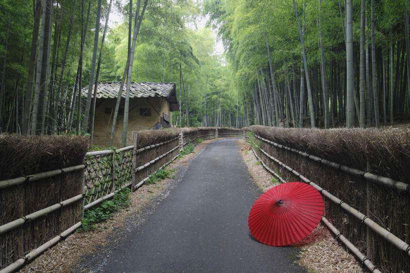 无人,栏杆,横图,室外,特写,白天,正面,旅游,度假,幸福,纯洁,美景,森林,树林,植物,道路,路,竹子,京都,日本,亚洲,一把,伞,雨伞,栅栏,纸伞,景观,篱笆,围栏,小路,交通,古典,油纸伞,文化,娱乐,阳伞,护栏,树,树木,红色,绿色,自然,享受,休闲,景色,放松,京都府,生长,成长,纪念,吉祥,高雅,自然风光,古朴,东亚,本州,本州岛,日本国,近畿地方,近畿,奉献,质朴,正直,担当,平安,竹,彩图,奋进,操守,四君子,岁寒三友,性坚,虚怀,虚心,善群,卓尔
