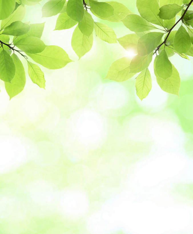 无人,竖图,插画,室内,白天,正面,旅游,度假,数码,科技,美景,植物,叶子,东京,日本,亚洲,阴影,光线,网络,影子,景观,绿叶,高光,几何,计算机图形,合成,图画,娱乐,画,树,树干,树木,绿色,阳光,自然,享受,休闲,嫩叶,景色,放松,生长,成长,电脑合成图,数码合成图,自然风光,漫画,东亚,本州,关东地方,本州岛,日本国,东京都,写实,具体,具象,叶,叶片,彩图