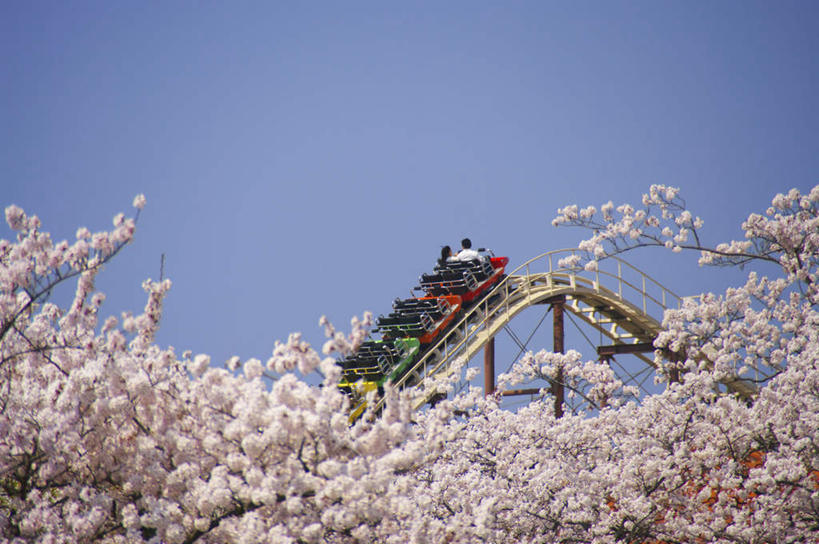 东方人,三个人,游乐园,坐,横图,室外,白天,仰视,旅游,度假,游戏,幸福,纯洁,美景,植物,樱花,日本,亚洲,许多,阴影,盛开,光线,影子,景观,玩,黄种人,娱乐,过山车,花,花瓣,花朵,花卉,鲜花,树,树木,树枝,蓝色,绿色,白色,黑色,蓝天,天空,阳光,自然,天,花蕊,享受,休闲,景色,放松,游乐设施,生长,晴朗,成长,等待,活动,生命,发泄,消遣,智力,自然风光,东亚,本州,万里无云,茨城,茨城县,关东地方,本州岛,日本国,宣泄,仙樱花,福岛樱,青肤樱,高尚,热烈,男人,男性,年轻男性,年轻女性,女人,女性,亚洲人,长发,晴空,晴空万里,荆桃,玩耍,嬉戏,坐着,彩图,低角度拍摄,全身