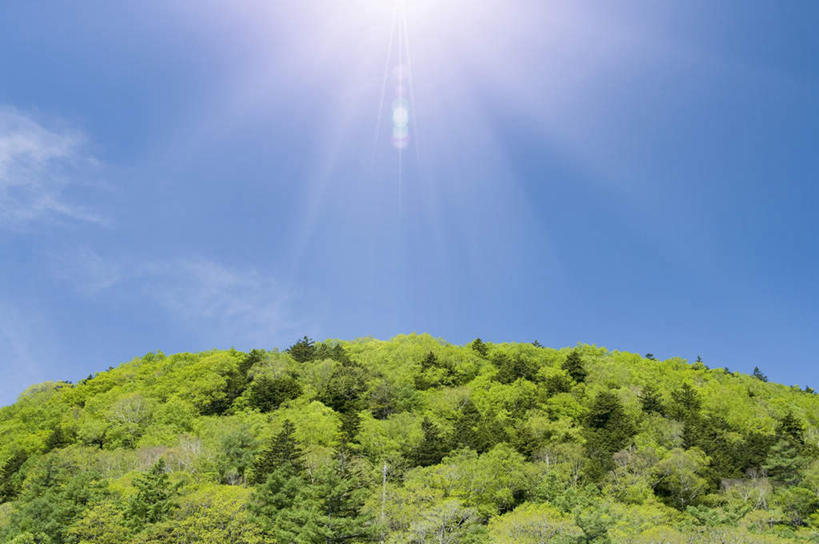 无人,横图,室外,特写,白天,广角镜头,鱼眼镜头,仰视,旅游,度假,石头,美景,山,山脉,植物,日本,亚洲,阴影,光线,石子,影子,地平线,景观,山顶,山峰,云,云朵,辽阔,地面,山峦,云彩,娱乐,树,树木,蓝色,绿色,白云,蓝天,天空,阳光,自然,群山,天,享受,休闲,广阔,景色,放松,生长,晴朗,成长,一望无际,自然风光,延伸,东亚,沉积岩,本州,关东地方,本州岛,日本国,栃木,栃木县,天地相交,无边无际,一马平川,颠峰,极峰,水成岩,石块,岩石,晴空,彩图,低角度拍摄