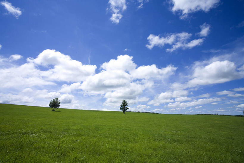 无人,横图,室外,白天,正面,旅游,度假,草地,草坪,美景,植物,北海道,日本,亚洲,地平线,景观,云,云朵,辽阔,地面,云彩,娱乐,草,树,树木,蓝色,绿色,白云,蓝天,天空,自然,天,享受,休闲,广阔,景色,放松,生长,晴朗,成长,一望无际,自然风光,延伸,东亚,日本国,天地相交,北海道地方,北海道岛,无边无际,一马平川,晴空,彩图