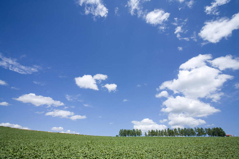 无人,横图,室外,白天,正面,旅游,度假,草地,草坪,美景,植物,北海道,日本,亚洲,一排,整齐,地平线,景观,云,云朵,辽阔,地面,云彩,娱乐,草,树,树木,排列,蓝色,绿色,白云,蓝天,天空,自然,天,享受,休闲,广阔,景色,放松,生长,晴朗,成长,一望无际,队列,自然风光,延伸,东亚,日本国,天地相交,北海道地方,北海道岛,无边无际,一马平川,晴空,彩图