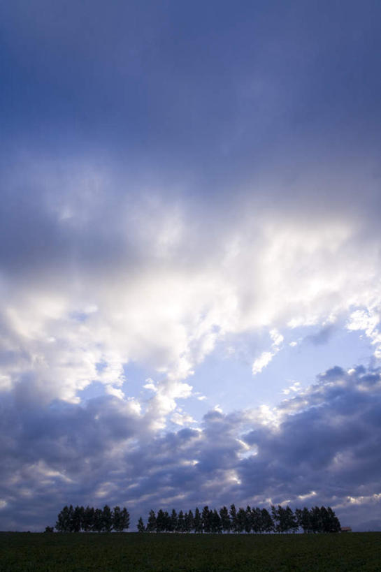 无人,竖图,室外,白天,正面,旅游,度假,草地,草坪,美景,植物,北海道,日本,亚洲,一排,整齐,地平线,景观,云,云朵,辽阔,地面,云彩,娱乐,草,树,树木,排列,蓝色,绿色,白云,蓝天,天空,自然,天,享受,休闲,广阔,景色,放松,生长,晴朗,成长,一望无际,队列,自然风光,延伸,东亚,日本国,天地相交,北海道地方,北海道岛,无边无际,一马平川,晴空,彩图