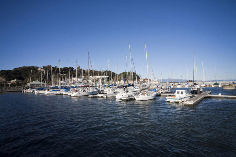 无人,码头,横图,室外,白天,正面,旅游,度假,美景,植物,港口,船,神奈川,日本,亚洲,一排,许多,停靠,整齐,景观,游艇,神奈川县,娱乐,树,树木,排列,蓝色,绿色,蓝天,天空,自然,交通工具,天,享受,休闲,景色,放松,生长,晴朗,成长,队列,自然风光,载具,东亚,本州,万里无云,关东地方,本州岛,日本国,晴空,晴空万里,彩图,摆渡口,埠头,渡口,渡头,港湾,海港,货运码头,口岸,商港