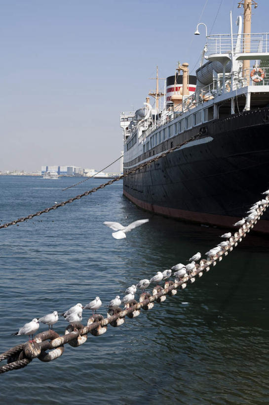 无人,竖图,室外,白天,正面,旅游,度假,海浪,海洋,美景,船,海鸟,海鸥,鸟,神奈川,日本,亚洲,一排,许多,整齐,鸟类,景观,浪花,神奈川县,娱乐,游轮,排列,蓝色,蓝天,天空,自然,海水,交通工具,天,享受,休闲,景色,放松,晴朗,队列,自然风光,载具,海景,东亚,本州,万里无云,关东地方,本州岛,日本国,大海,风浪,海,海水的波动,近岸浪,涌浪,晴空,晴空万里,彩图,全身