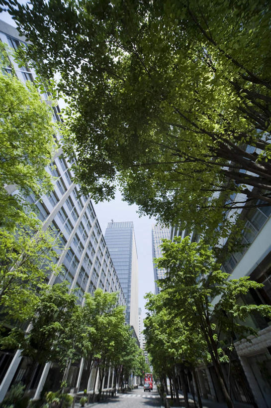 无人,高楼大厦,竖图,室外,白天,仰视,度假,办公楼,美景,植物,城市风光,标志建筑,城市,大厦,道路,地标,建筑,路,摩天大楼,写字楼,公路,东京,日本,亚洲,阴影,光线,影子,景观,云,云朵,交通,云彩,娱乐,建设,树,树木,蓝色,绿色,白云,蓝天,天空,阳光,自然,楼宇,天,享受,休闲,商务楼,景色,放松,生长,晴朗,成长,东亚,本州,关东地方,本州岛,日本国,东京都,晴空,马路,彩图,低角度拍摄,大楼,高层建筑,高楼,摩天楼