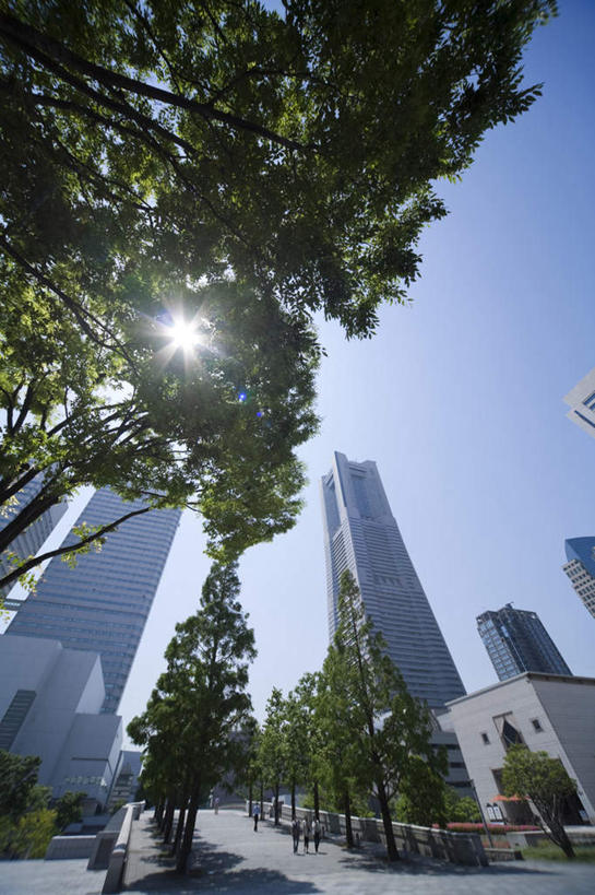 无人,高楼大厦,竖图,室外,白天,仰视,度假,办公楼,美景,植物,城市风光,标志建筑,城市,大厦,地标,建筑,摩天大楼,写字楼,神奈川,日本,亚洲,景观,云,云朵,神奈川县,云彩,娱乐,建设,树,树木,蓝色,绿色,白云,蓝天,天空,自然,楼宇,天,享受,休闲,商务楼,景色,放松,生长,晴朗,成长,东亚,本州,万里无云,关东地方,本州岛,日本国,晴空,晴空万里,彩图,低角度拍摄,大楼,高层建筑,高楼,摩天楼