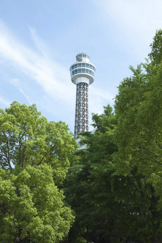 无人,高楼大厦,竖图,室外,白天,仰视,度假,办公楼,美景,植物,城市风光,标志建筑,城市,大厦,地标,建筑,摩天大楼,写字楼,神奈川,日本,亚洲,景观,云,云朵,塔,神奈川县,云彩,娱乐,建设,树,树木,蓝色,绿色,白云,蓝天,天空,自然,楼宇,天,享受,休闲,商务楼,景色,放松,生长,晴朗,成长,东亚,本州,关东地方,本州岛,日本国,晴空,彩图,低角度拍摄,大楼,高层建筑,高楼,摩天楼