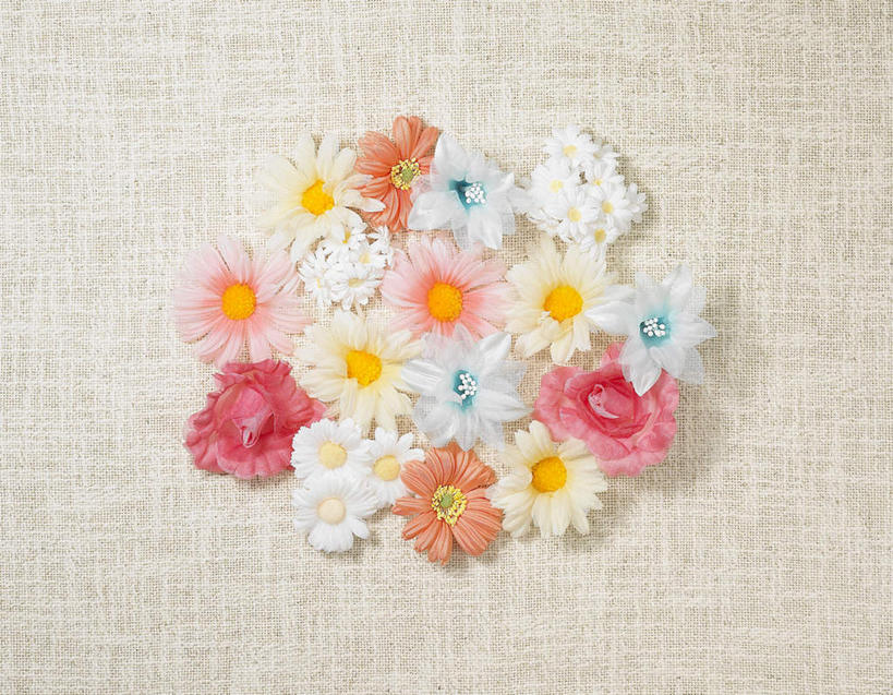 无人,横图,俯视,室内,特写,白天,植物,桌面,桌子,静物,许多,盛开,木制,非洲菊,花,花瓣,花朵,花卉,鲜花,排列,粉色,白色,木制品,花蕊,橙色,菊花,摄影,影棚,队列,扶郎花,灯盏花,千日菊,彩图,高角度拍摄,影棚拍摄,拍摄