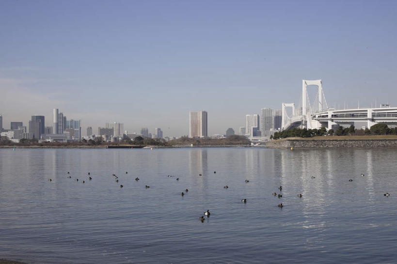 无人,高楼大厦,站,横图,全景,室外,白天,正面,度假,办公楼,海浪,海洋,美景,天际线,植物,城市风光,城市,大桥,大厦,建筑,立交桥,摩天大楼,桥梁,写字楼,船,海鸟,海鸥,鸟,野生动物,东京,日本,亚洲,一艘,许多,喝,喝水,波纹,飞溅,溅,鸟类,液体,景观,浪花,水滴,云,云朵,高架,建筑群,斜拉桥,桥,彩虹大桥,彩虹桥,涟漪,云彩,娱乐,建设,水珠,树,树木,蓝色,绿色,白色,白云,蓝天,水纹,天空,自然,海水,动物,船尾波,楼宇,交通工具,波浪,天,低头,站着,享受,休闲,商务楼,景色,放松,可爱,活泼,生长,晴朗,成长,喷洒,载具,海景,气垫船,东亚,本州,关东地方,本州岛,日本国,东京都,水晕,日本彩虹大桥,大海,风浪,海,海水的波动,近岸浪,涌浪,晴空,站立,彩图,大楼,高层建筑,高楼,摩天楼