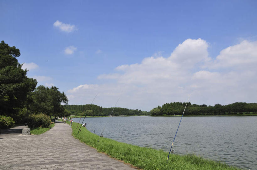 无人,横图,室外,白天,正面,旅游,度假,草地,湖,湖泊,美景,水,植物,道路,路,东京,日本,亚洲,湖面,景观,水流,水面,云,云朵,小路,交通,云彩,娱乐,草,树,树木,蓝色,绿色,白云,蓝天,天空,自然,湖水,天,享受,休闲,景色,放松,生长,晴朗,成长,自然风光,东亚,本州,关东地方,本州岛,日本国,东京都,水元公园,葛饰区,晴空,彩图